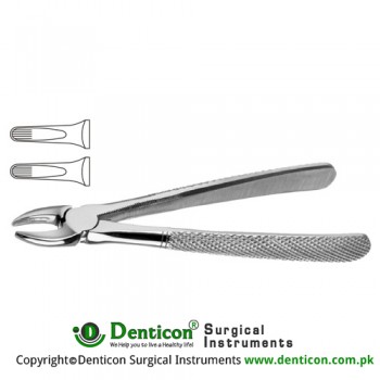 English Pattern Tooth Extracting Forcep (Child) Fig. 163 (For Upper Anteriors) Stainless Steel, Standard
